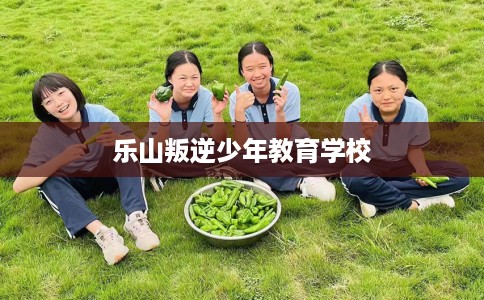 乐山叛逆少年教育学校