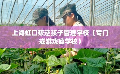 上海虹口叛逆孩子管理学校（专门戒游戏瘾学校）