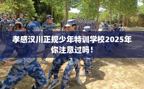 孝感汉川正规少年特训学校2025年你注意过吗! 孝感汉川正规少年特训学校2025年你注意过吗!
