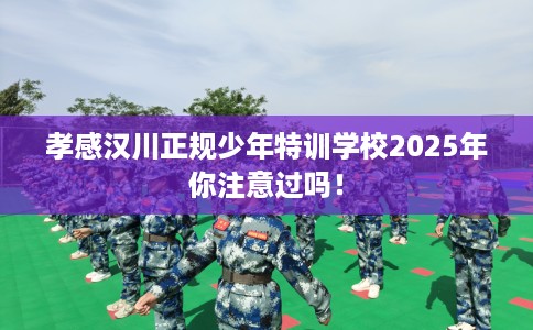孝感汉川正规少年特训学校2025年你注意过吗! 孝感汉川正规少年特训学校2025年你注意过吗!