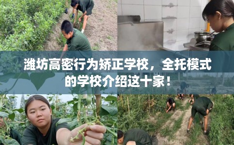 潍坊高密行为矫正学校，全托模式的学校介绍这十家！