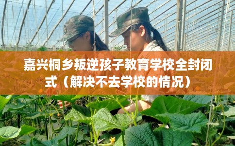 嘉兴桐乡叛逆孩子教育学校全封闭式（解决不去学校的情况）
