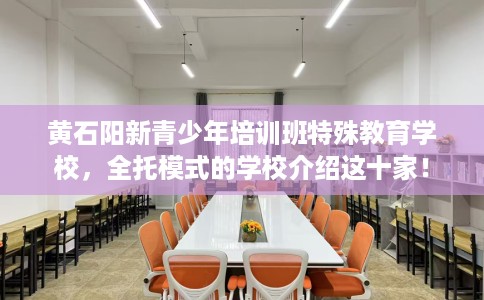 黄石阳新青少年培训班特殊教育学校，全托模式的学校介绍这十家！