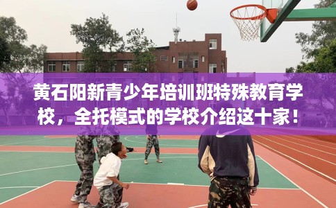 黄石阳新青少年培训班特殊教育学校，全托模式的学校介绍这十家！
