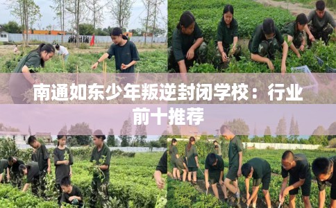 南通如东少年叛逆封闭学校：行业前十推荐