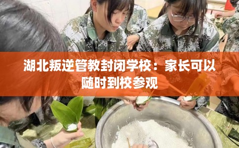 湖北叛逆管教封闭学校：家长可以随时到校参观