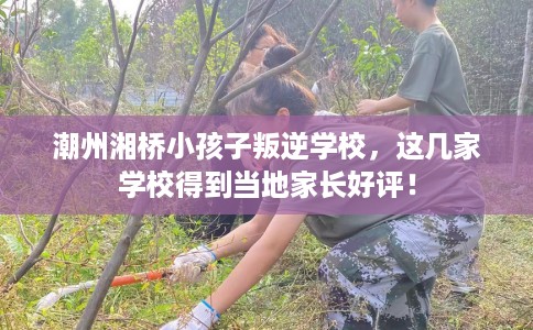 潮州湘桥小孩子叛逆学校,这几家学校得到当地家长好评! 潮州湘桥小孩子叛逆学校,这几家学校得到当地家长好评!