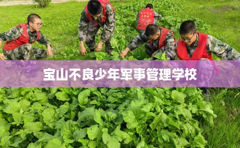 宝山不良少年军事管理学校