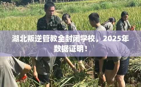 湖北叛逆管教全封闭学校，2025年数据证明！
