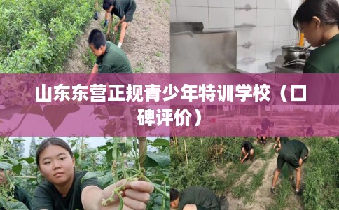 山东东营正规青少年特训学校（口碑评价）