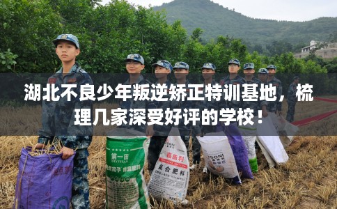 湖北不良少年叛逆矫正特训基地，梳理几家深受好评的学校！