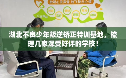 湖北不良少年叛逆矫正特训基地，梳理几家深受好评的学校！