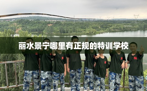 丽水景宁哪里有正规的特训学校