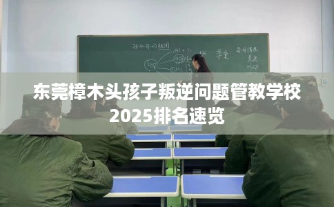 东莞樟木头孩子叛逆问题管教学校2025排名速览 东莞樟木头孩子叛逆问题管教学校2025排名速览