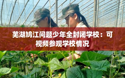 芜湖鸠江问题少年全封闭学校：可视频参观学校情况