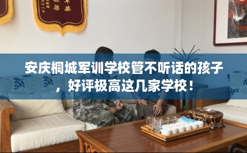 安庆桐城军训学校管不听话的孩子，好评极高这几家学校！