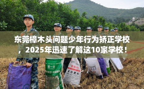 东莞樟木头问题少年行为矫正学校，2025年迅速了解这10家学校！