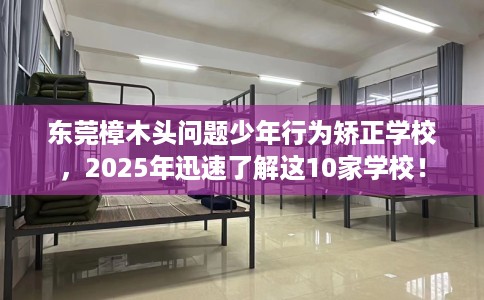 东莞樟木头问题少年行为矫正学校，2025年迅速了解这10家学校！
