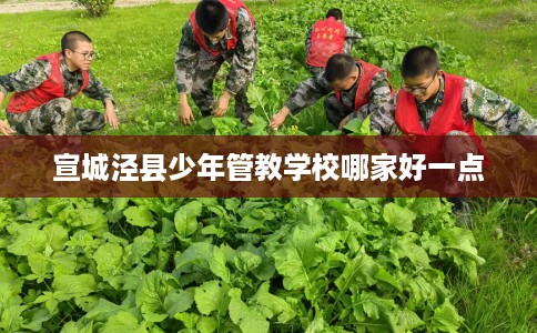 宣城泾县少年管教学校哪家好一点