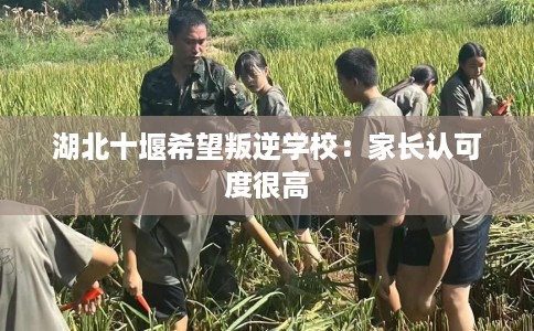 湖北十堰希望叛逆学校：家长认可度很高