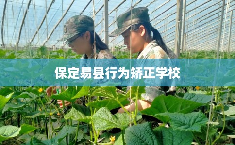 保定易县行为矫正学校