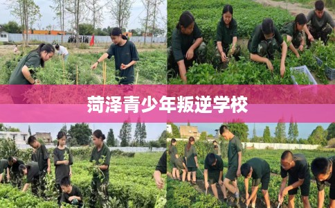 菏泽青少年叛逆学校