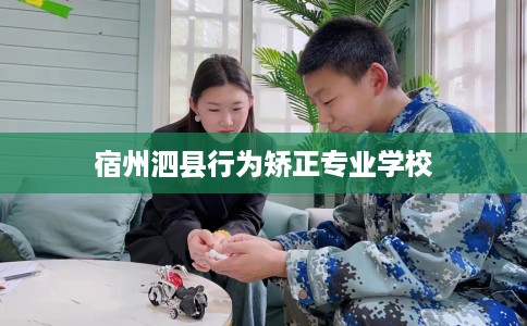 宿州泗县行为矫正专业学校