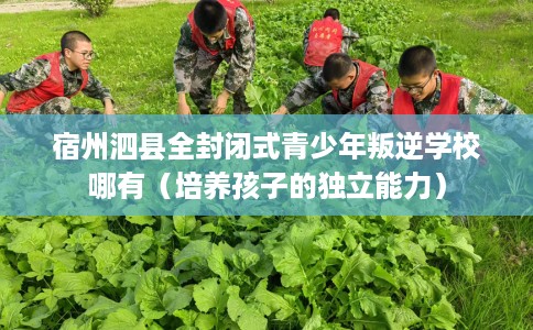 宿州泗县全封闭式青少年叛逆学校哪有（培养孩子的独立能力）