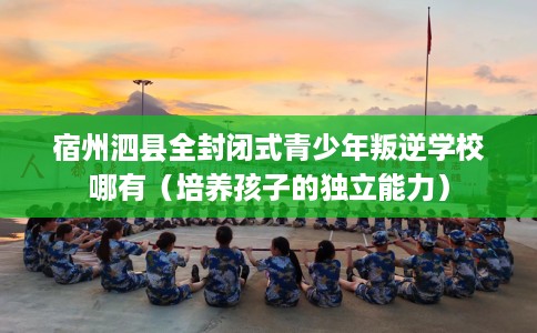 宿州泗县全封闭式青少年叛逆学校哪有（培养孩子的独立能力）
