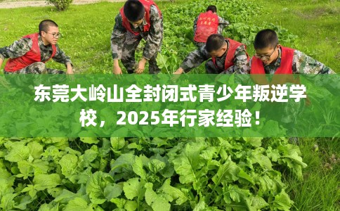东莞大岭山全封闭式青少年叛逆学校，2025年行家经验！