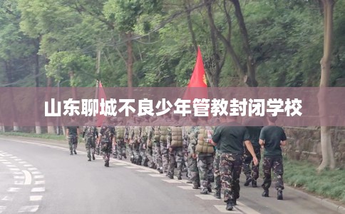 山东聊城不良少年管教封闭学校