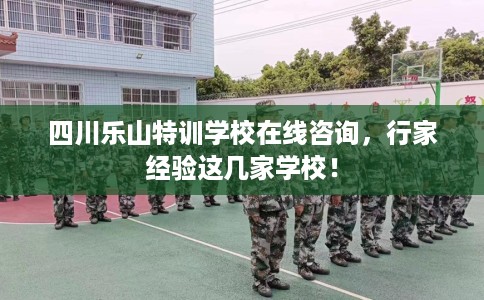 四川乐山特训学校在线咨询，行家经验这几家学校！