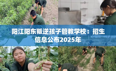 阳江阳东叛逆孩子管教学校：招生信息公布2025年