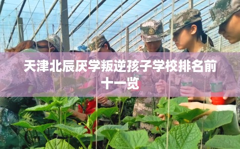 天津北辰厌学叛逆孩子学校排名前十一览