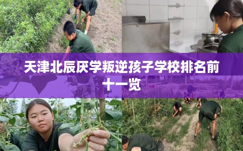天津北辰厌学叛逆孩子学校排名前十一览