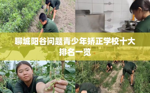 聊城阳谷问题青少年矫正学校十大排名一览