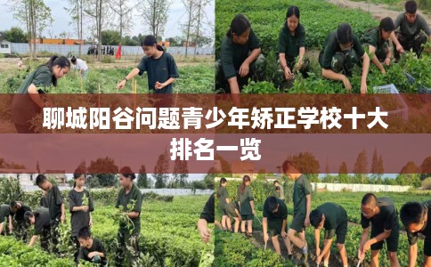 聊城阳谷问题青少年矫正学校十大排名一览