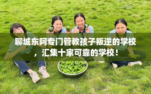 聊城东阿专门管教孩子叛逆的学校，汇集十家可靠的学校！