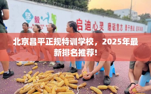 北京昌平正规特训学校，2025年最新排名推荐!