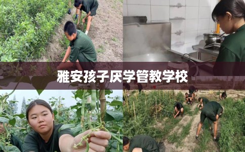 雅安孩子厌学管教学校