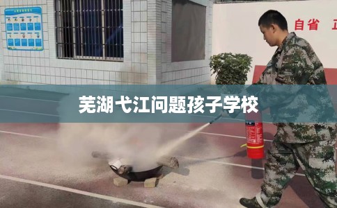 芜湖弋江问题孩子学校