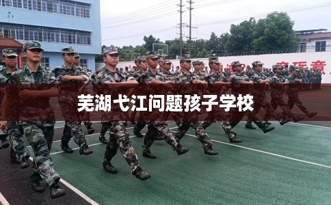芜湖弋江问题孩子学校