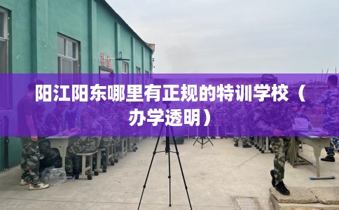 阳江阳东哪里有正规的特训学校（办学透明）