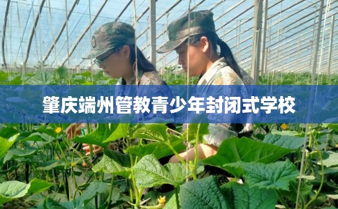 肇庆端州管教青少年封闭式学校