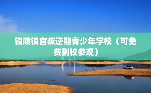 铜陵铜官叛逆期青少年学校（可免费到校参观）