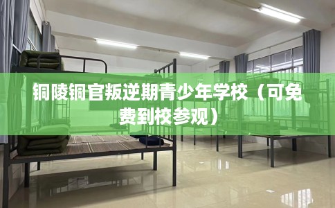 铜陵铜官叛逆期青少年学校（可免费到校参观）