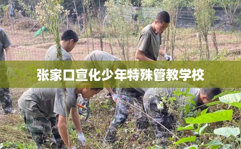 张家口宣化少年特殊管教学校