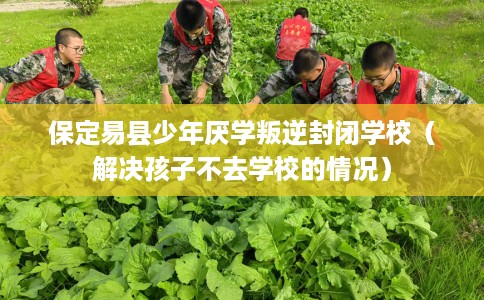 保定易县少年厌学叛逆封闭学校（解决孩子不去学校的情况）