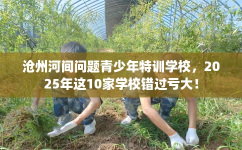 沧州河间问题青少年特训学校，2025年这10家学校错过亏大！