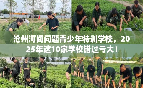沧州河间问题青少年特训学校，2025年这10家学校错过亏大！